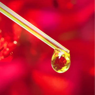 White Oud Attar - 18 ML